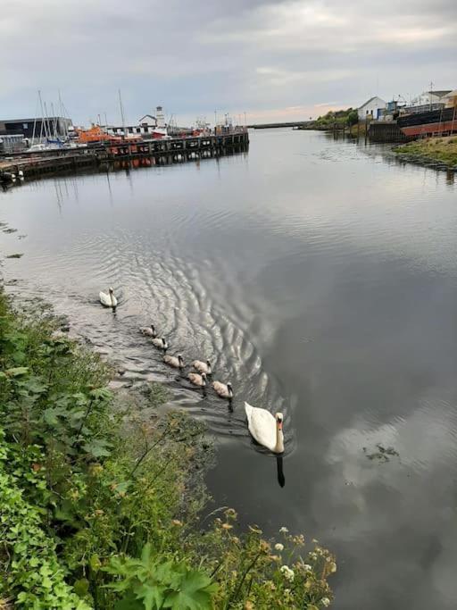 Stunning Riverside Town House With Views Ayrshire Girvan Esterno foto